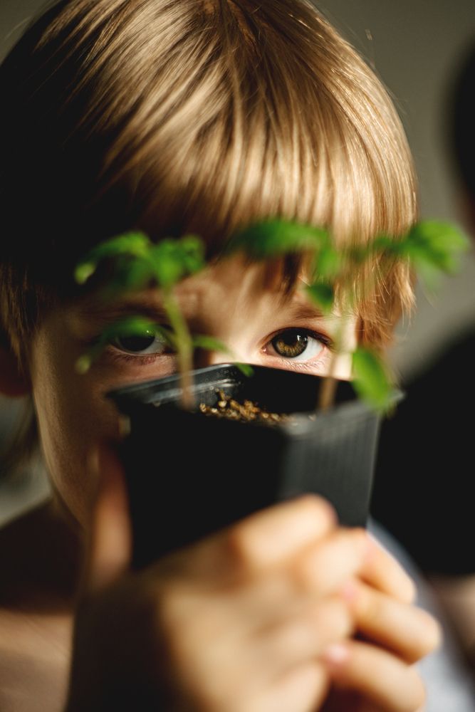 Photograph by Логинова Крис