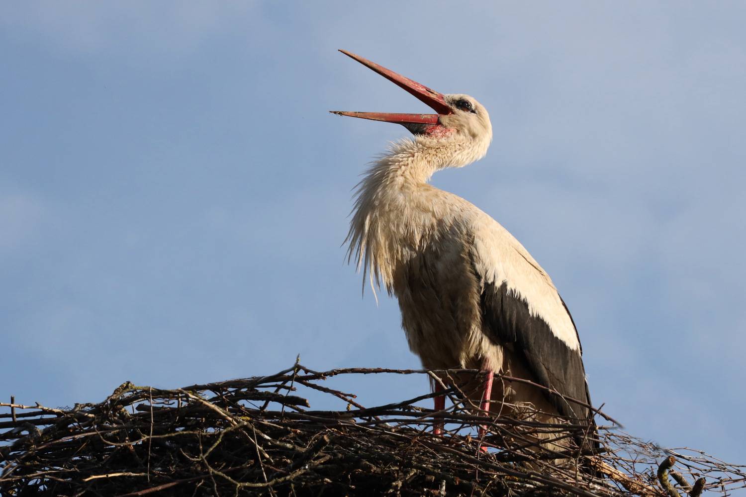 Спать хочется