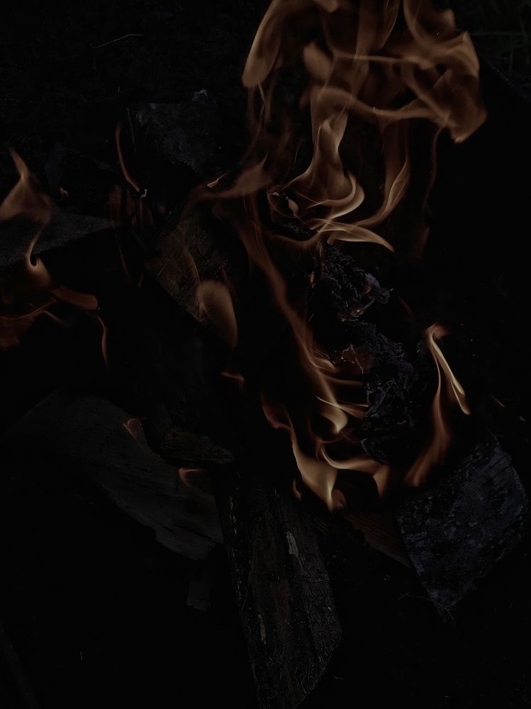 Photograph by Анастасия Псарёва