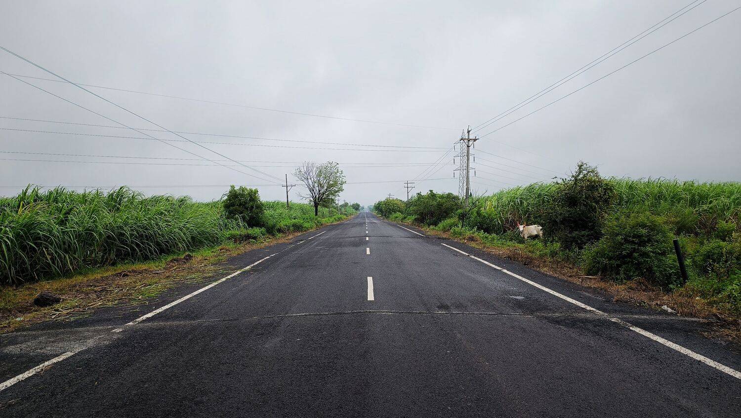 The Quiet Mile. The Quiet Mile.