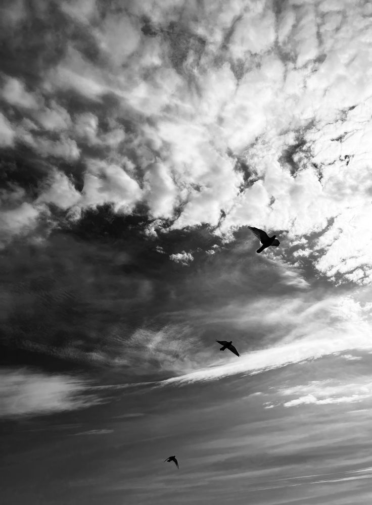 Photograph by Вера Сорокина