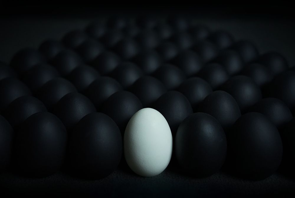 Eggs