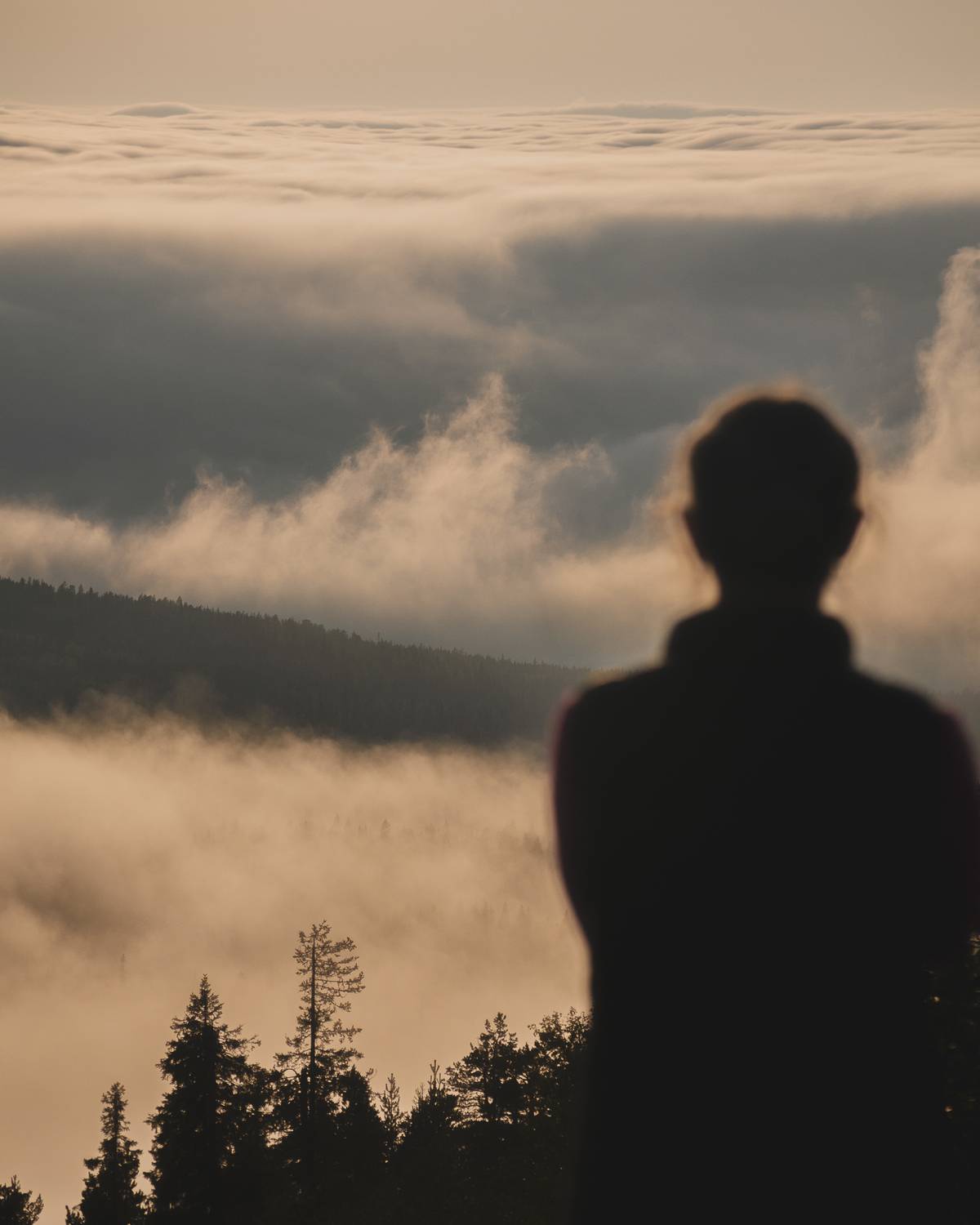 Фотография #13394874