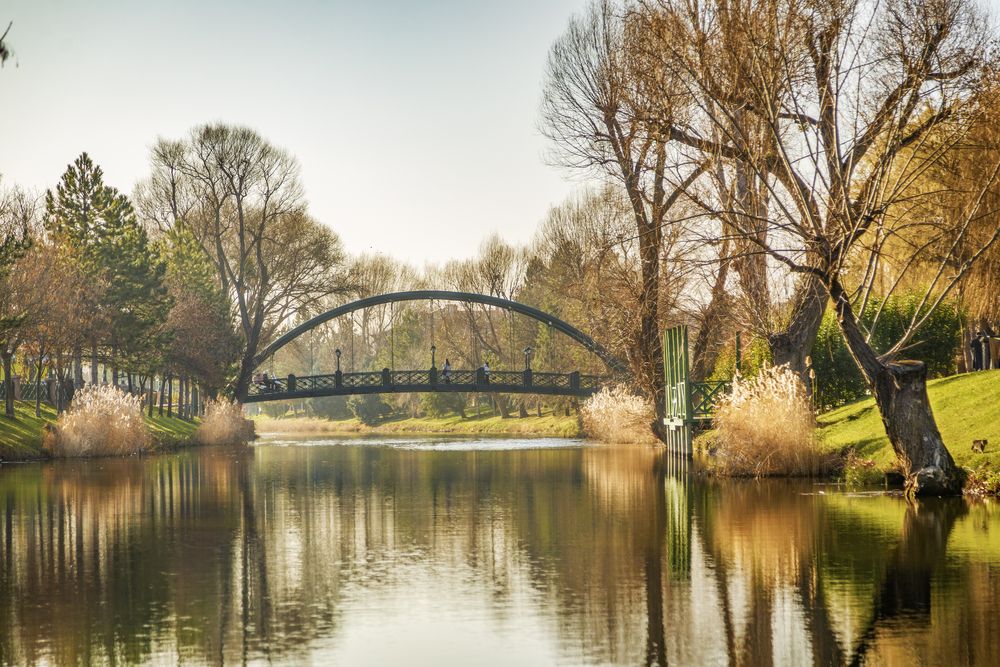 Golden Calm in the Park