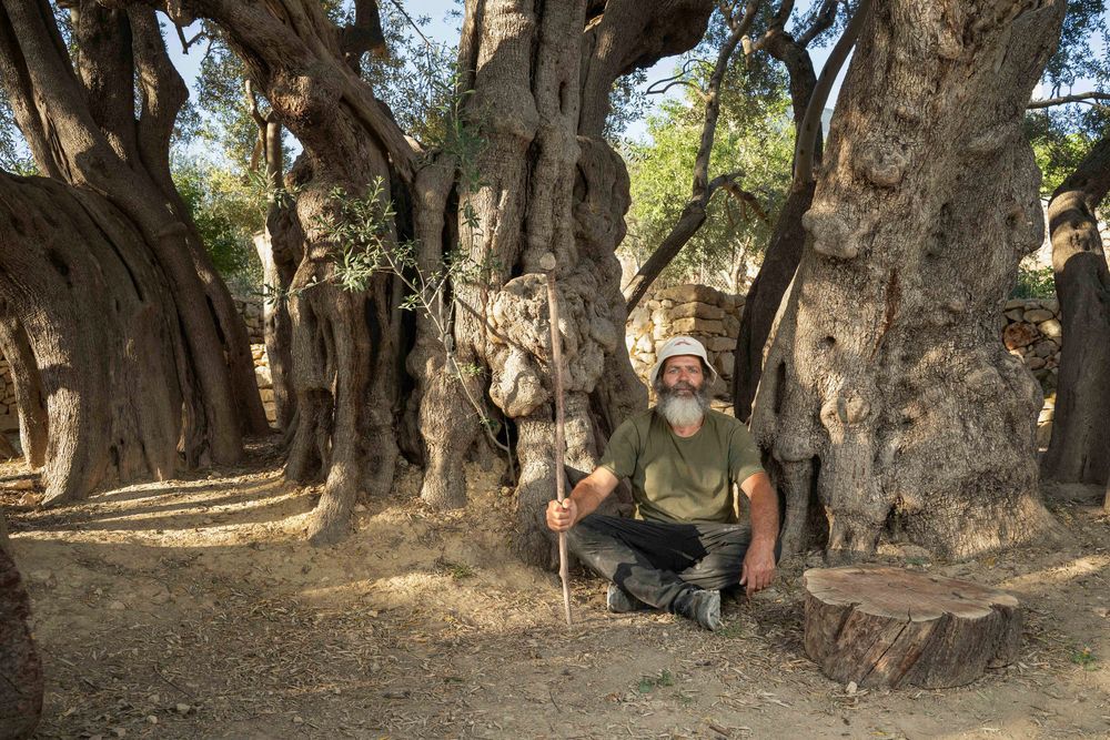 The Ancient Guardian: 5,500 Years of Survival
