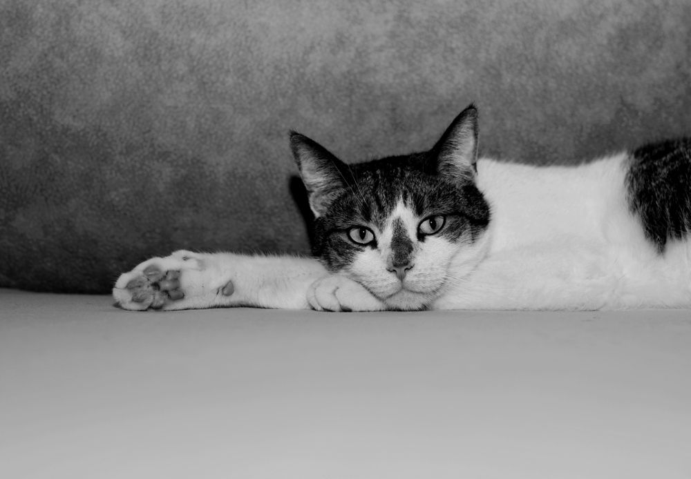 Photograph by Оксана Егорова