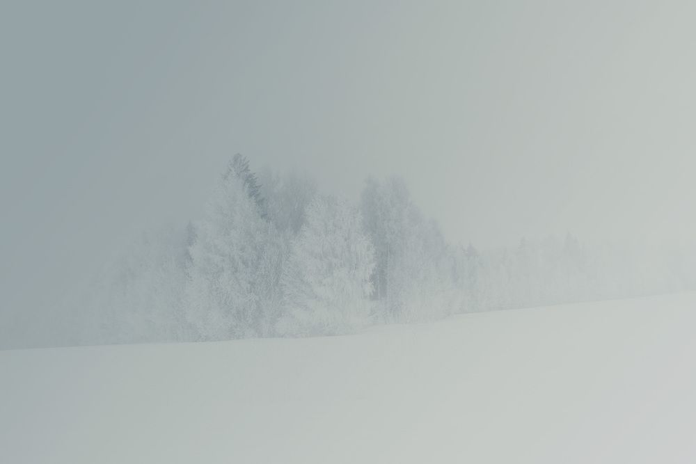 Photograph by Алексей Широбоков