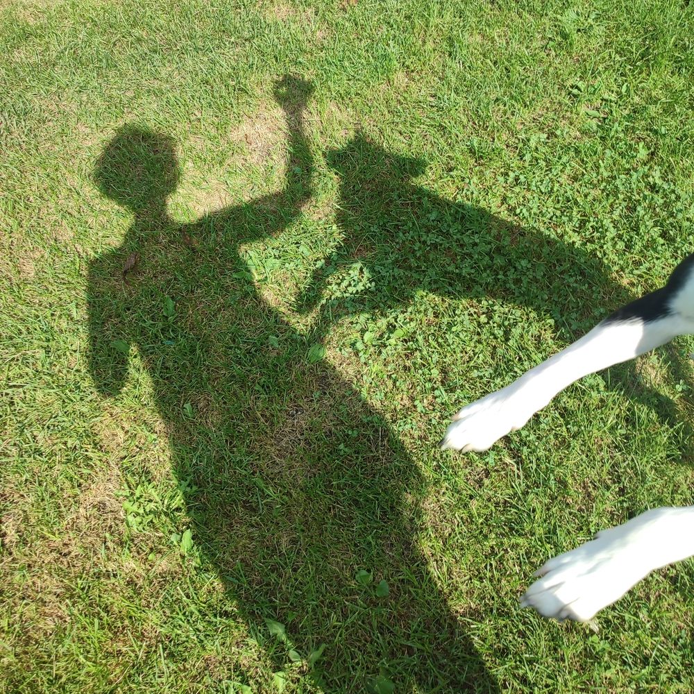 Photograph by Ирина К.