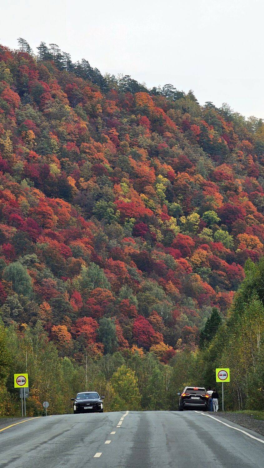 Фотография #13395243