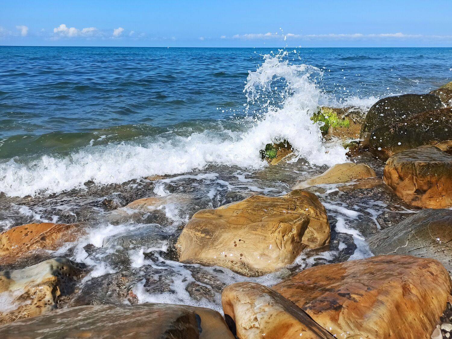 Фотография #13395269