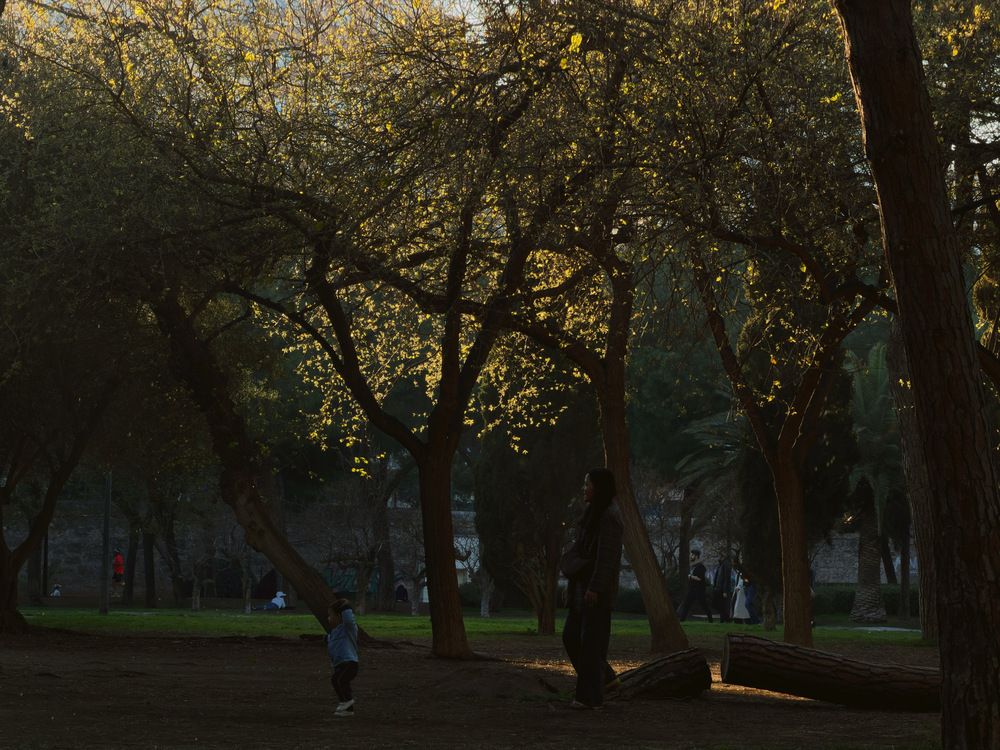 Photograph by Алёна Яцкевич