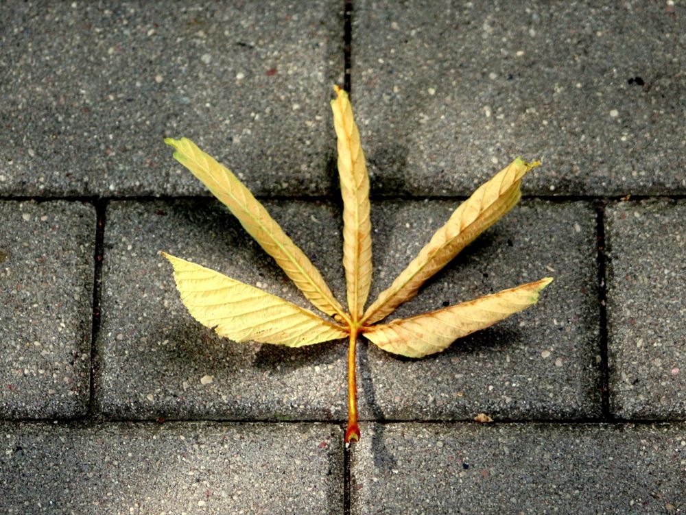 Photograph by Алексей Макаров