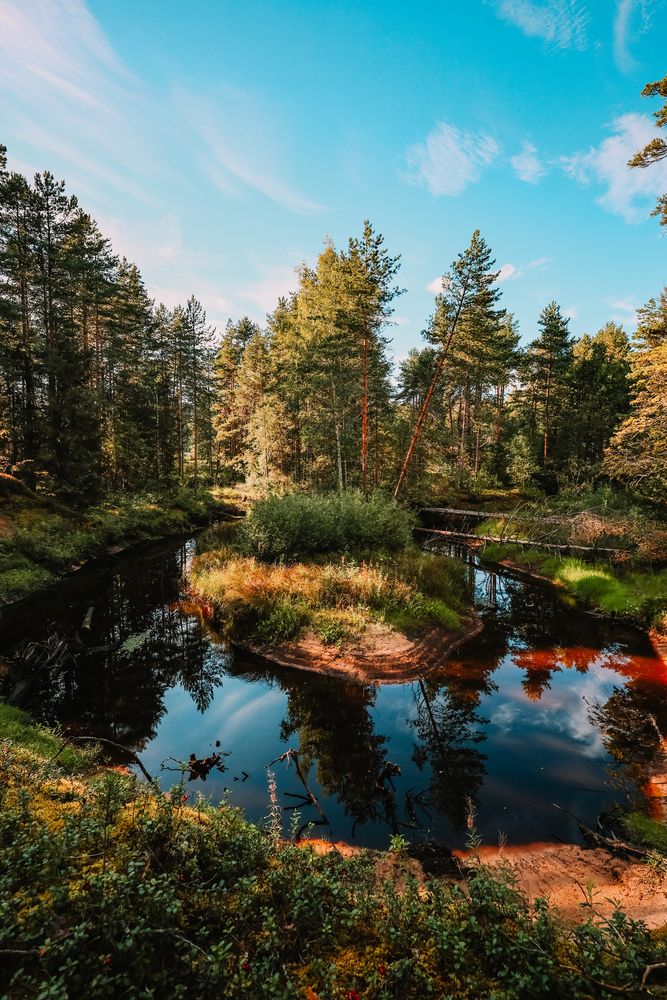 Photograph by Алексей Голубев