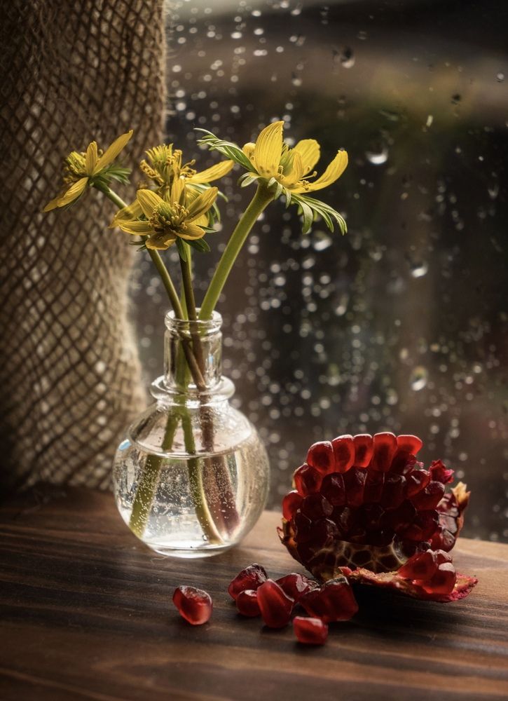 Photograph by Olga Schmidt