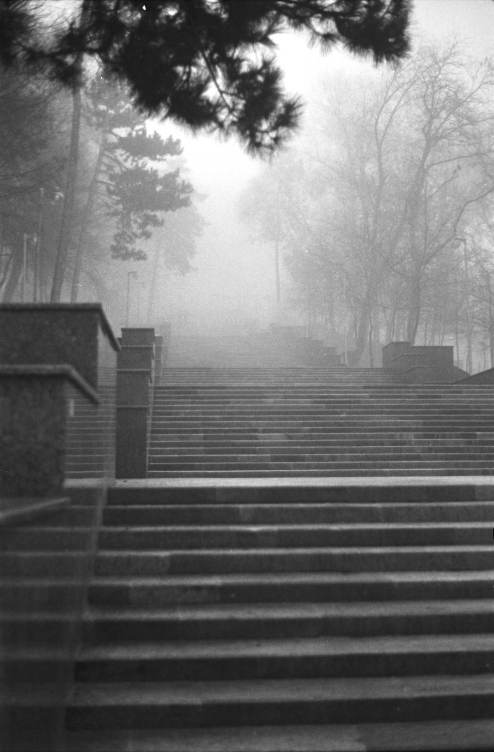 218 ступеней в небо.