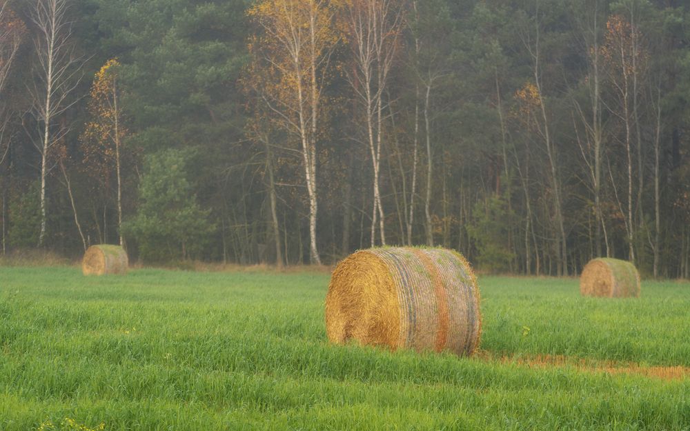 Photograph by Сергей Дишук