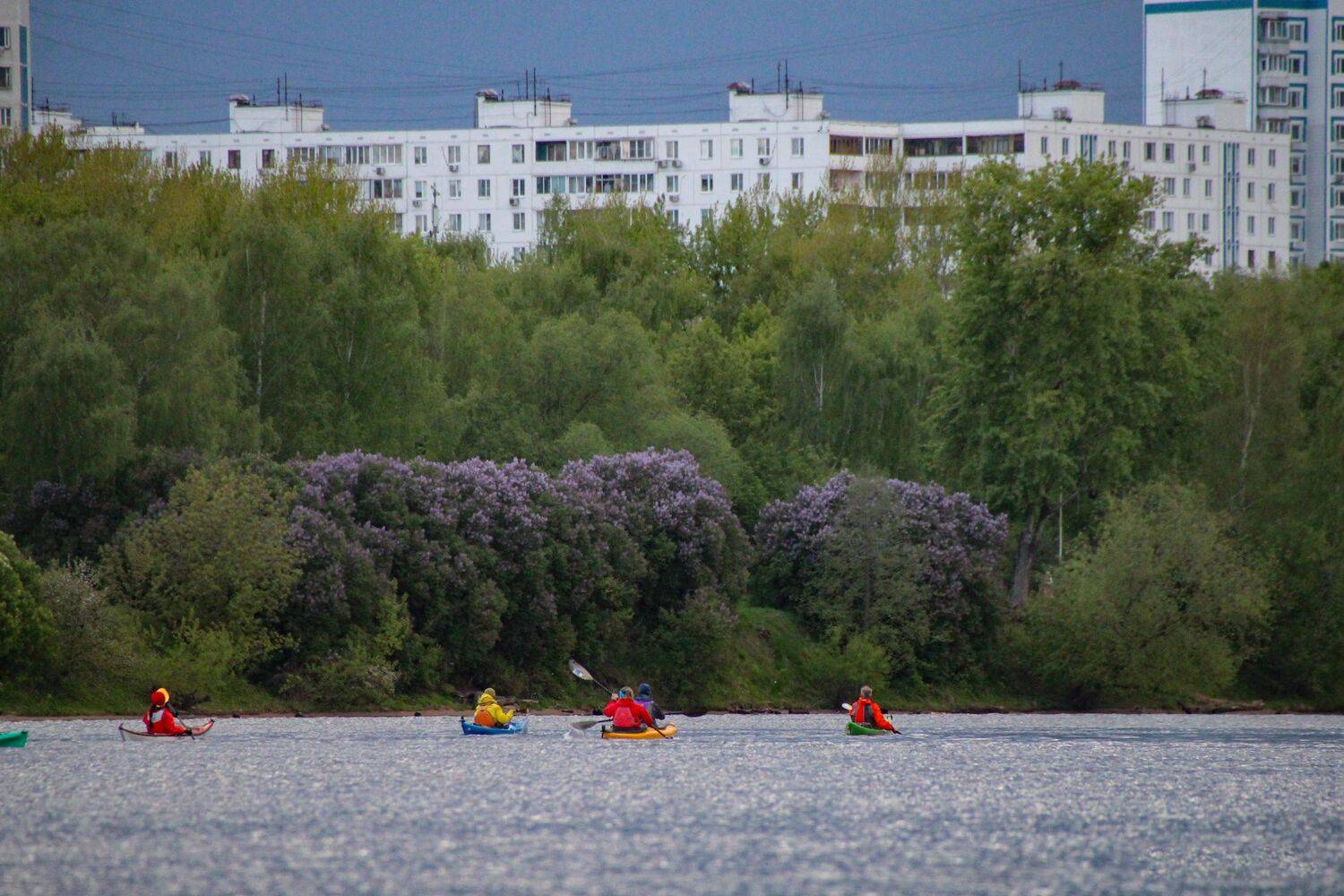 Море сирени