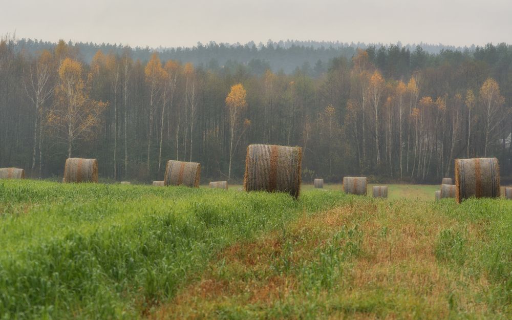 Photograph by Сергей Дишук