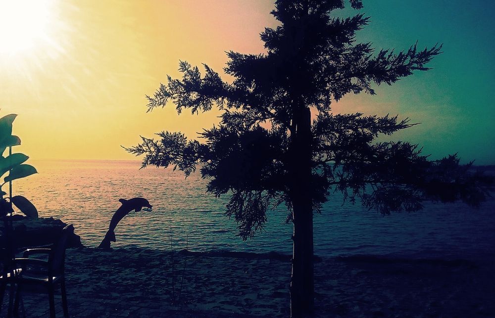 Photograph by Карина Плахова