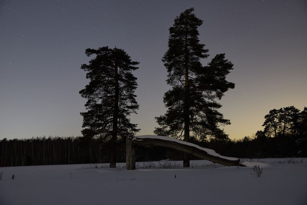 Photograph by Дмитрий Зотов
