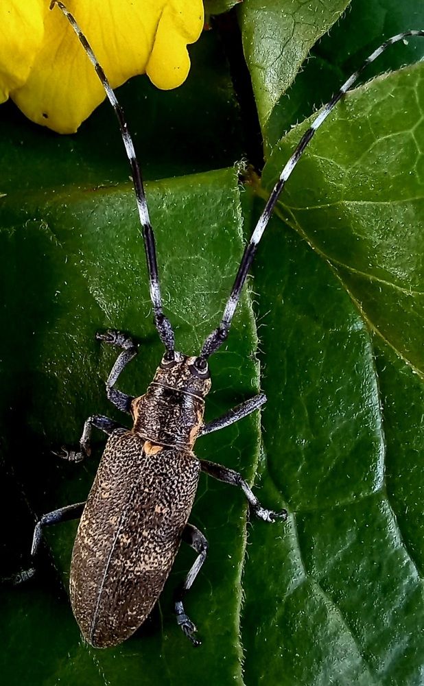 Photograph by Евгений Савулькин