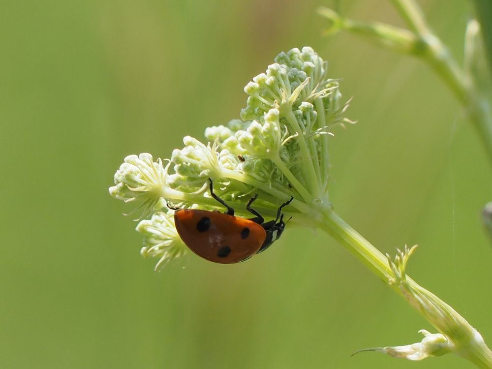 Photograph by Олег