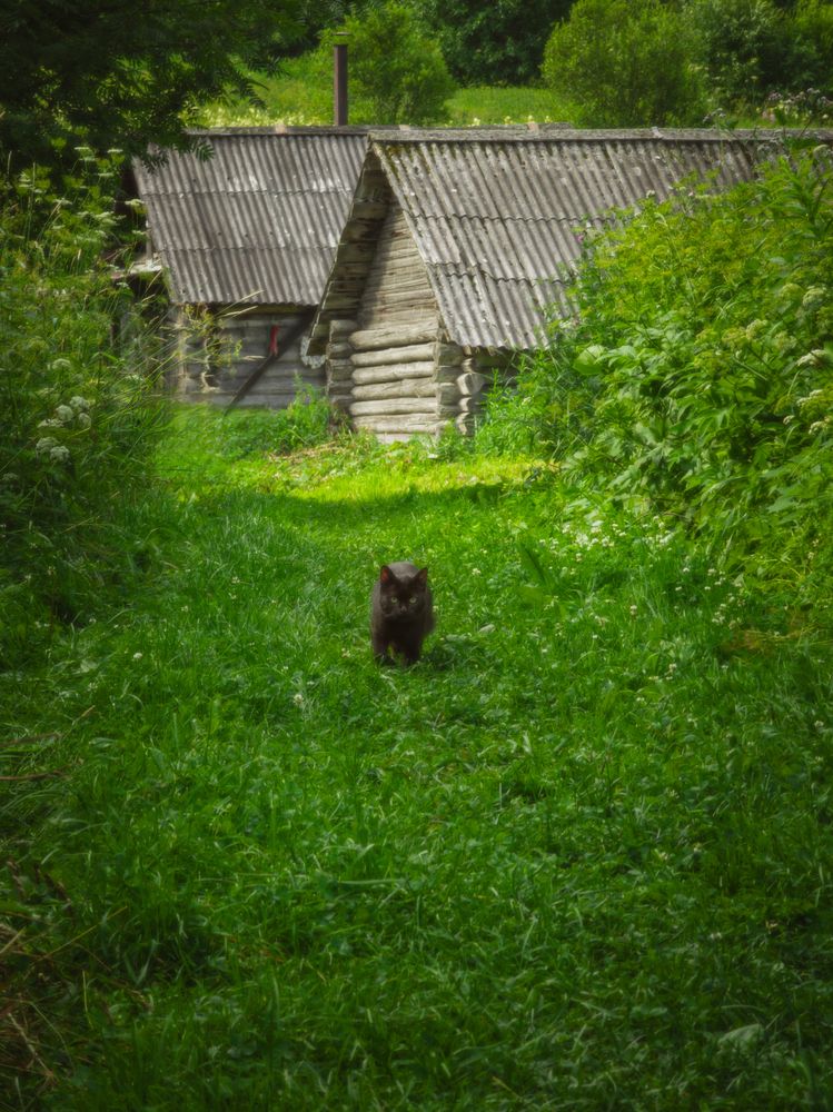 Photograph by Державин Александр
