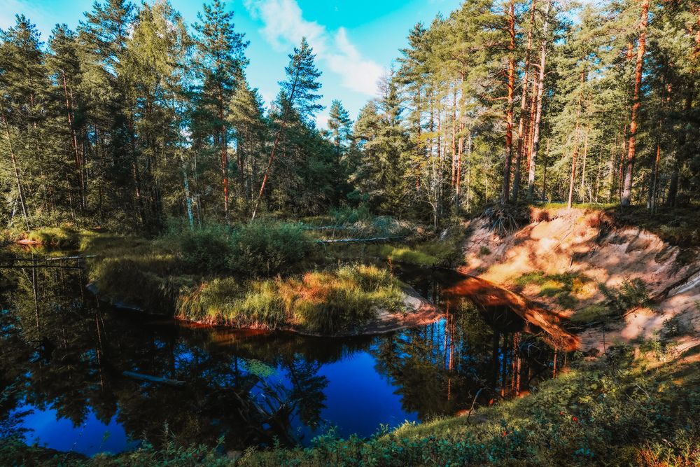 Photograph by Алексей Голубев