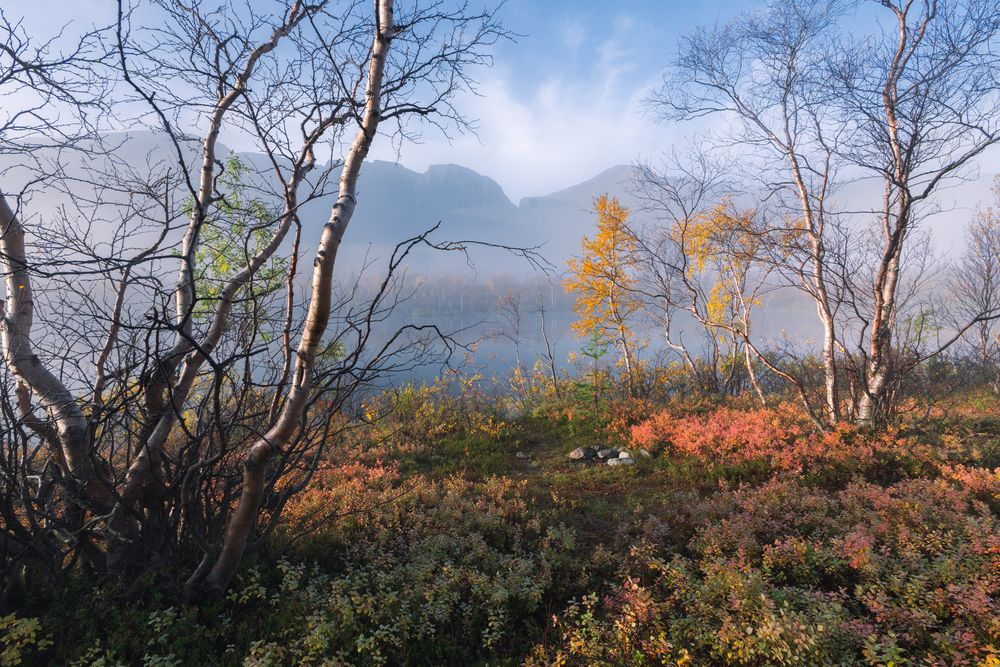 Photograph by Алексей Соколенко