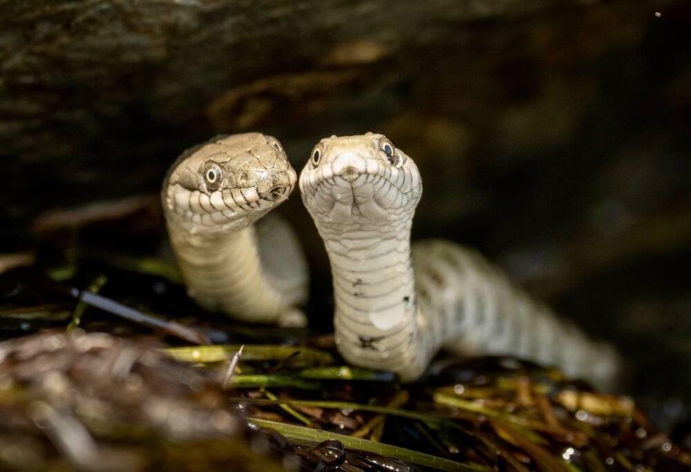 Photograph by Владимир Цветов