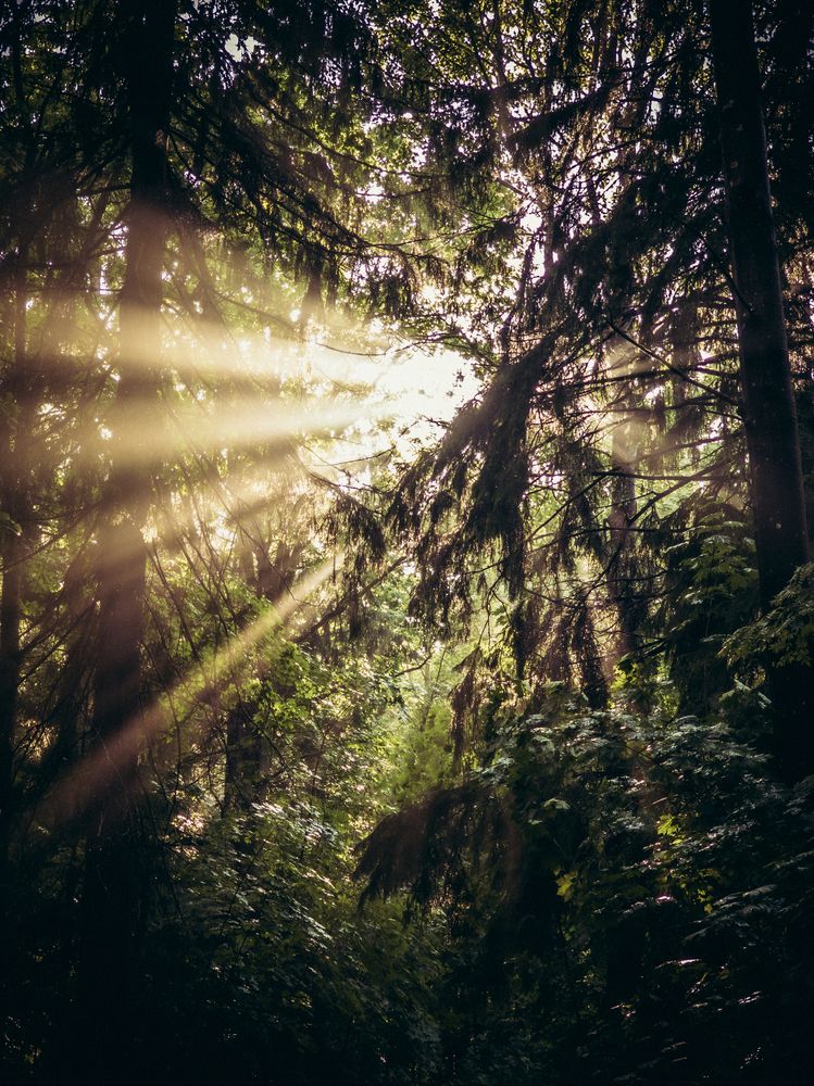 Photograph by Державин Александр