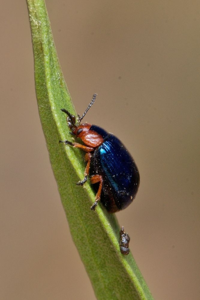 Photograph by Paula Torrent