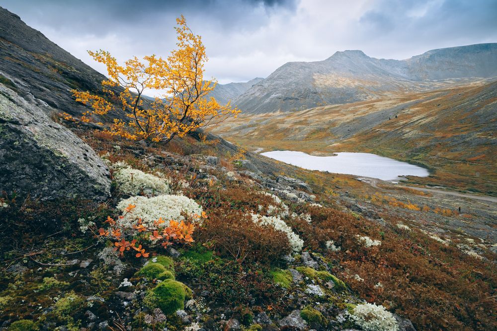 Photograph by Алексей Соколенко