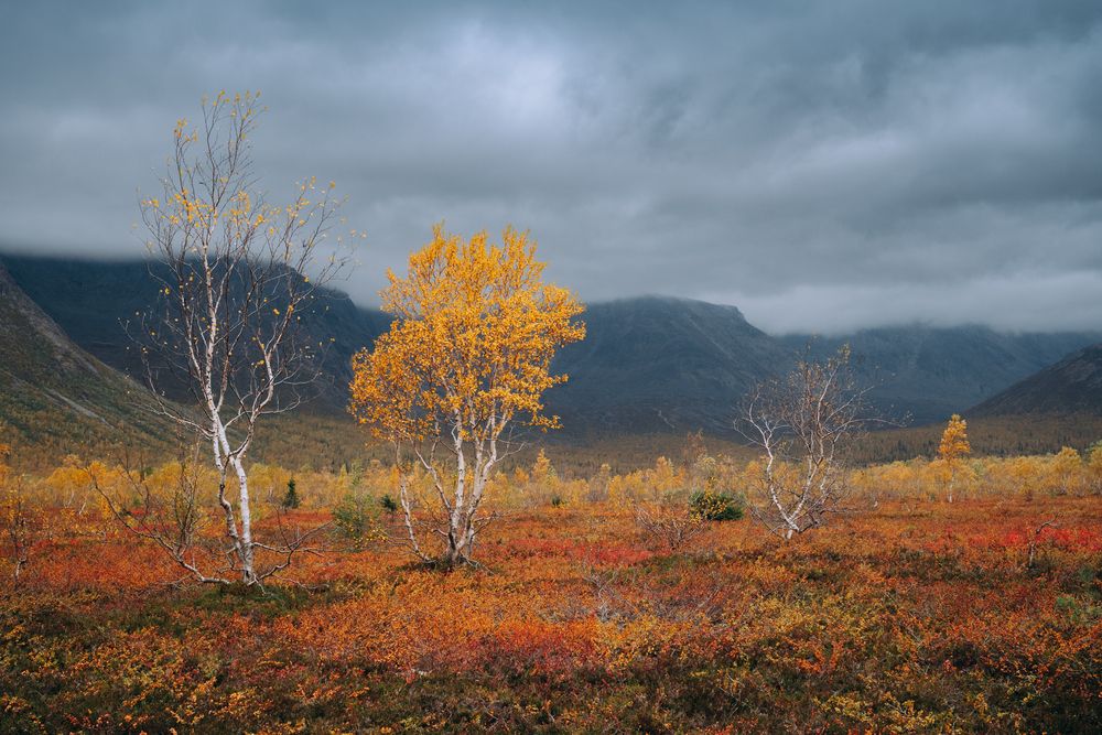 Photograph by Алексей Соколенко