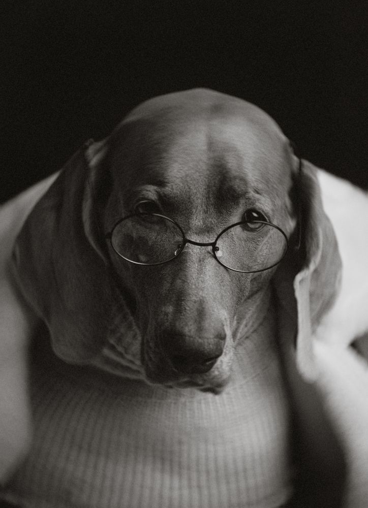 Photograph by Наталия Ватутина