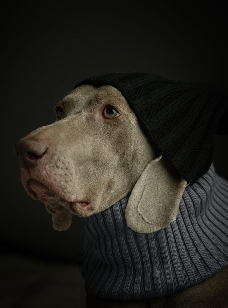 Photograph by Наталия Ватутина
