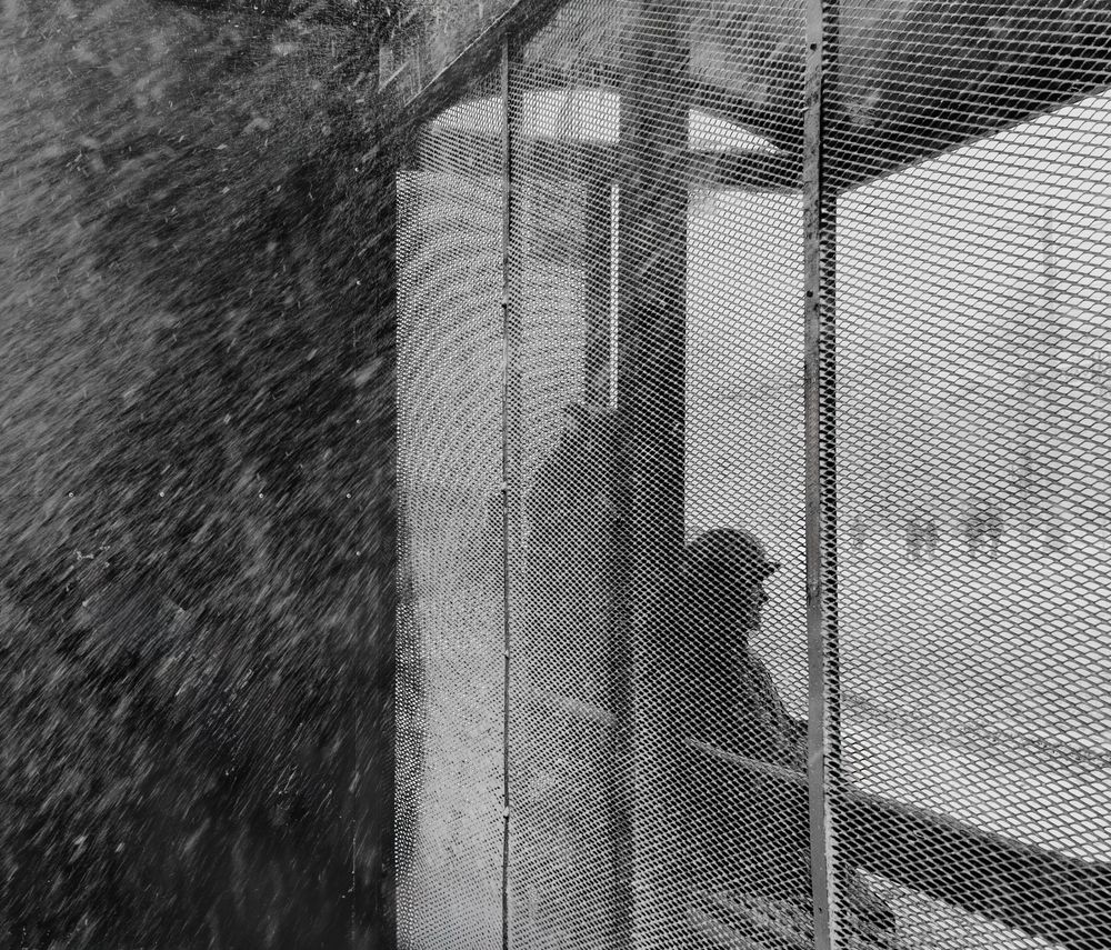 Photograph by Юлия Норицына