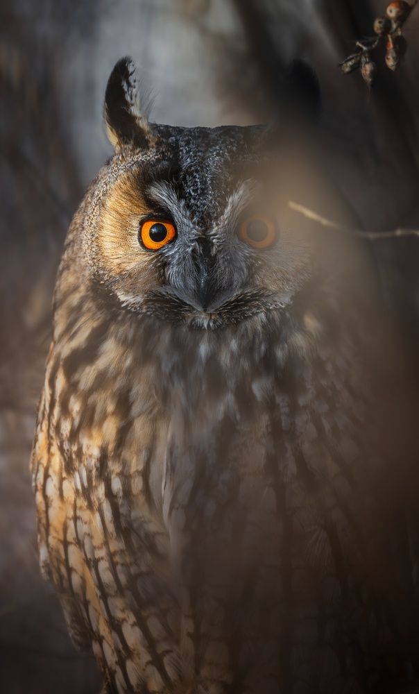 Photograph by Максат Бисенгазиев