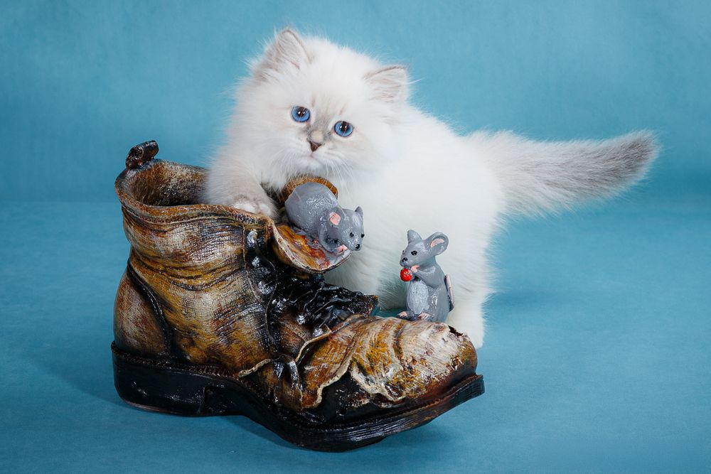 Photograph by Людмила Бандурина