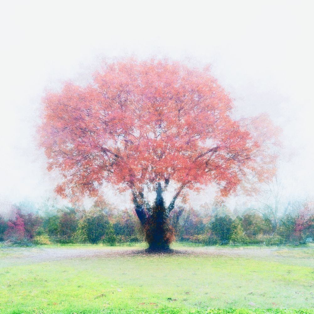 Photograph by Василий Рябовол