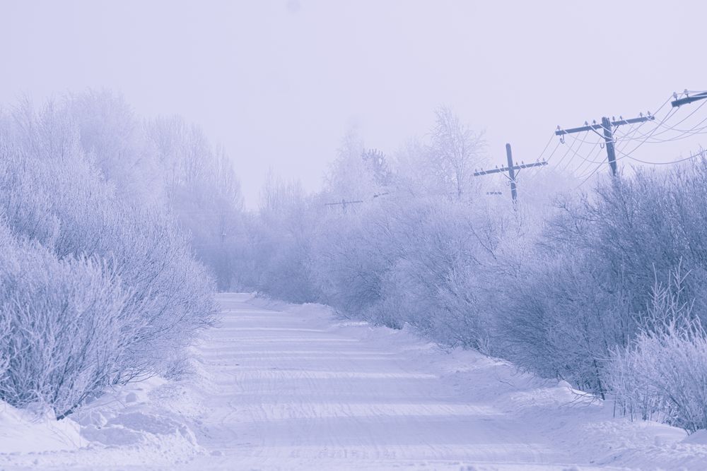 Photograph by Евгений Дубенцов