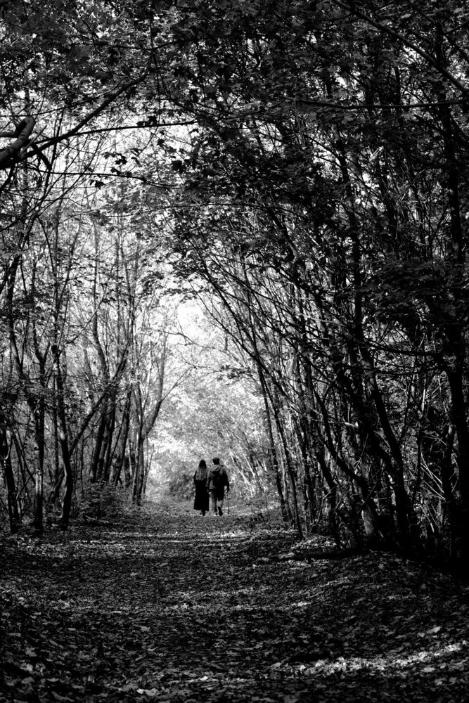 Photograph by Юлия Фёдорова