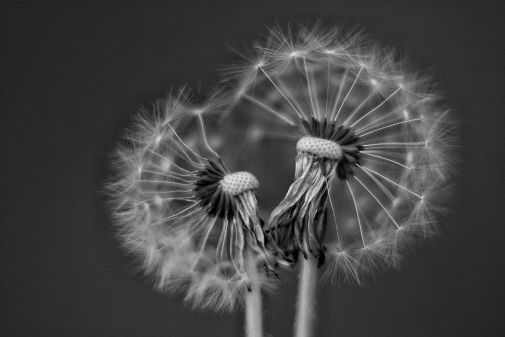 Photograph by Юлия Фёдорова