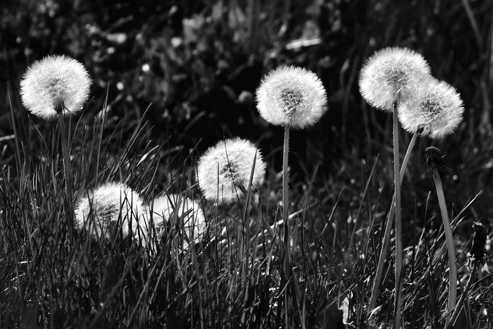 Photograph by Юлия Фёдорова