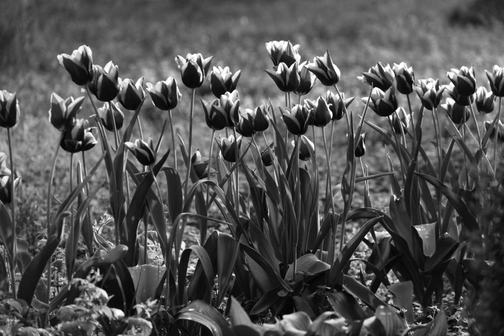 Photograph by Юлия Фёдорова