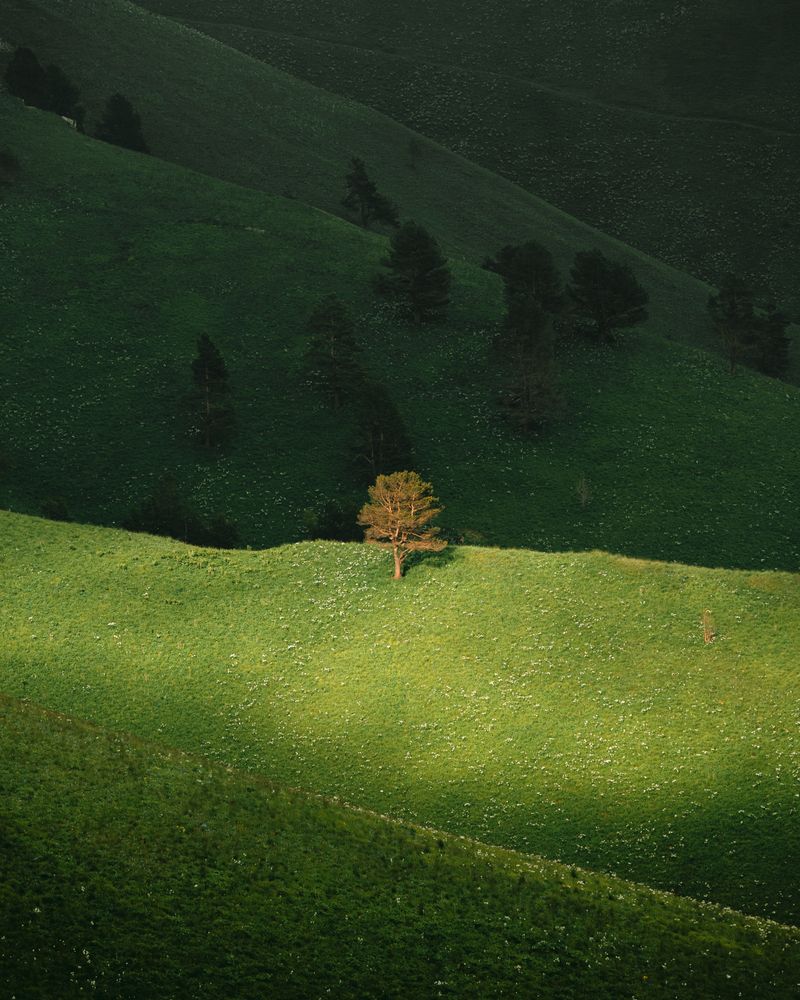 Photograph by Алексей Соколенко