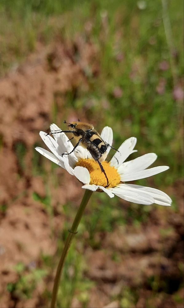 Photograph by Юлия Бобрецова