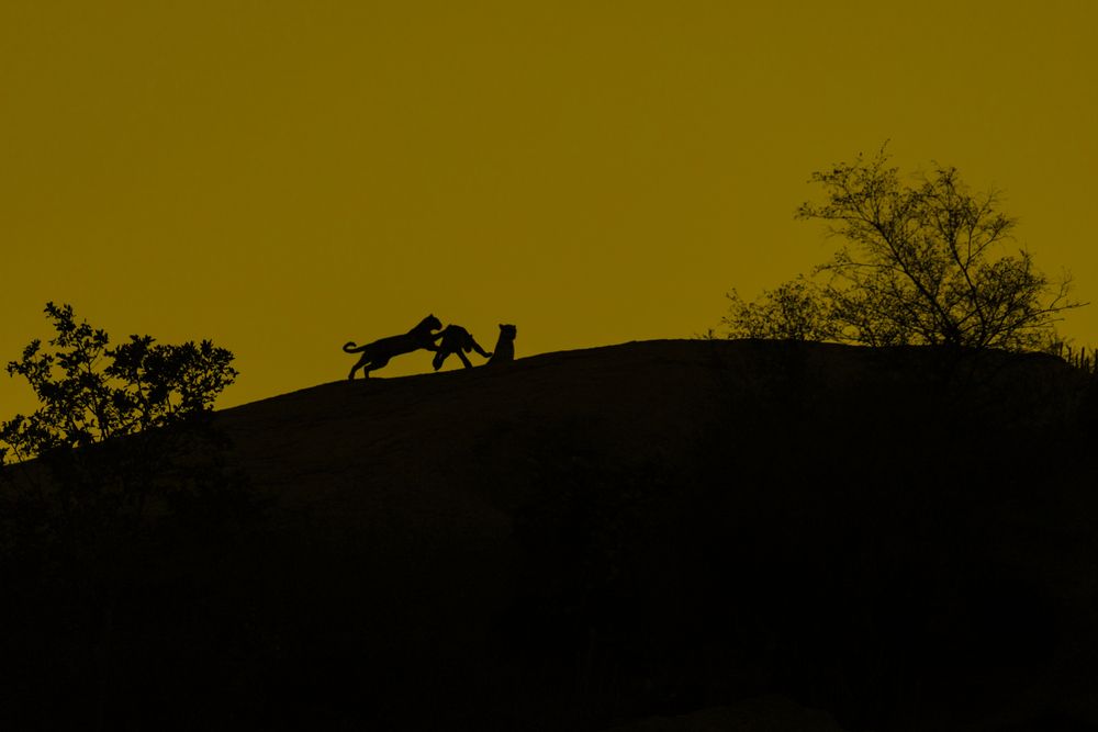 Photograph by Ajith Maniyan