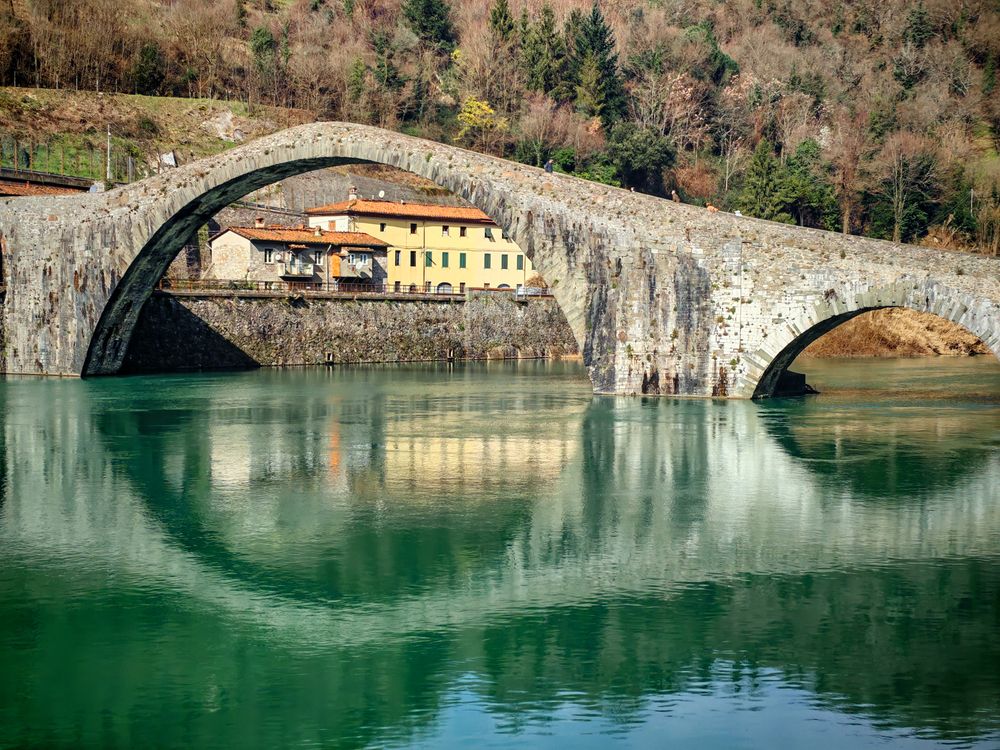 Фотография автора Максимова Дария