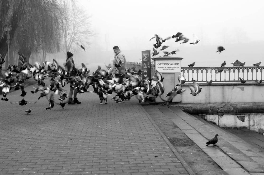 Photograph by Юля Хатыпова